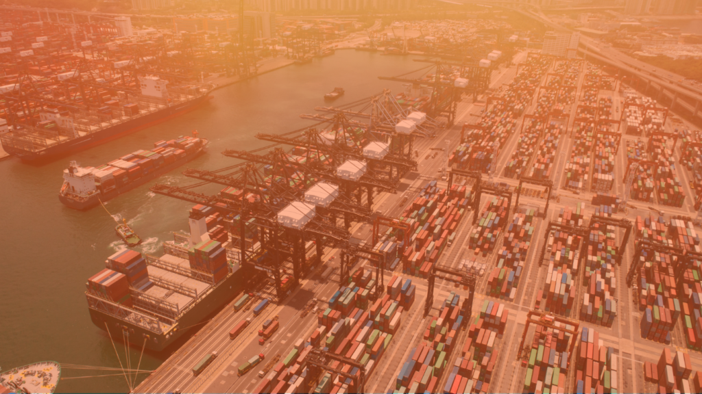 Sun rises on a new era of supply chain, as importers embrace AI alongside human skill